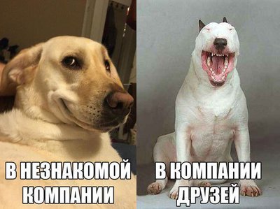 smeshnye-kartinki-s-...