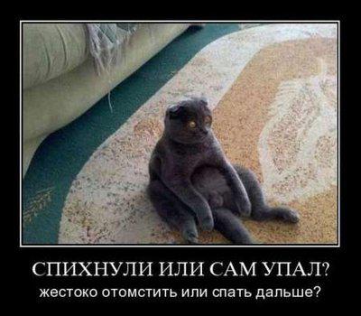 image2you_ru_17329_a...