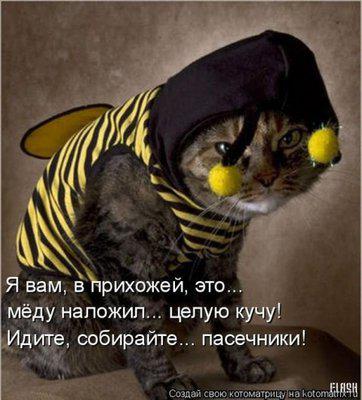 image2you_ru_17329_7...