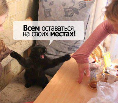 1456091_740496535960...