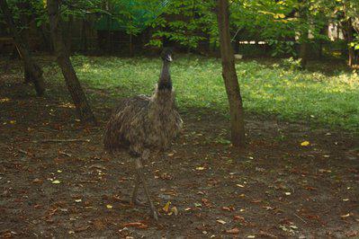 IMG_3151.JPG