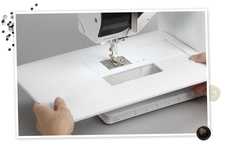   Bernina 350