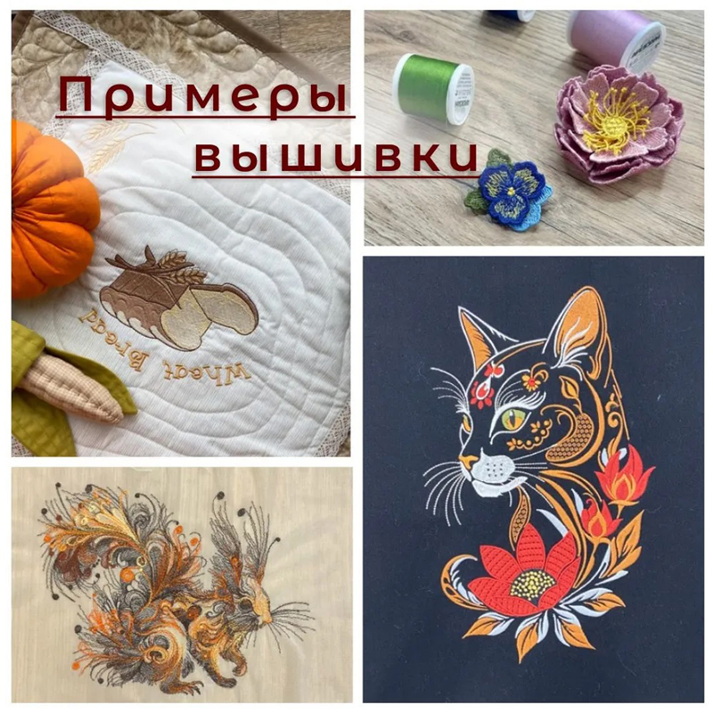 Швейная машина JANOME Memory Craft 550Е